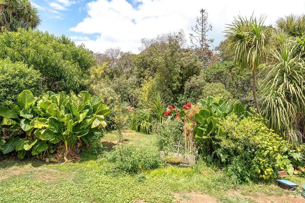 Oneroa Bay Villa Waiheke 외부 사진