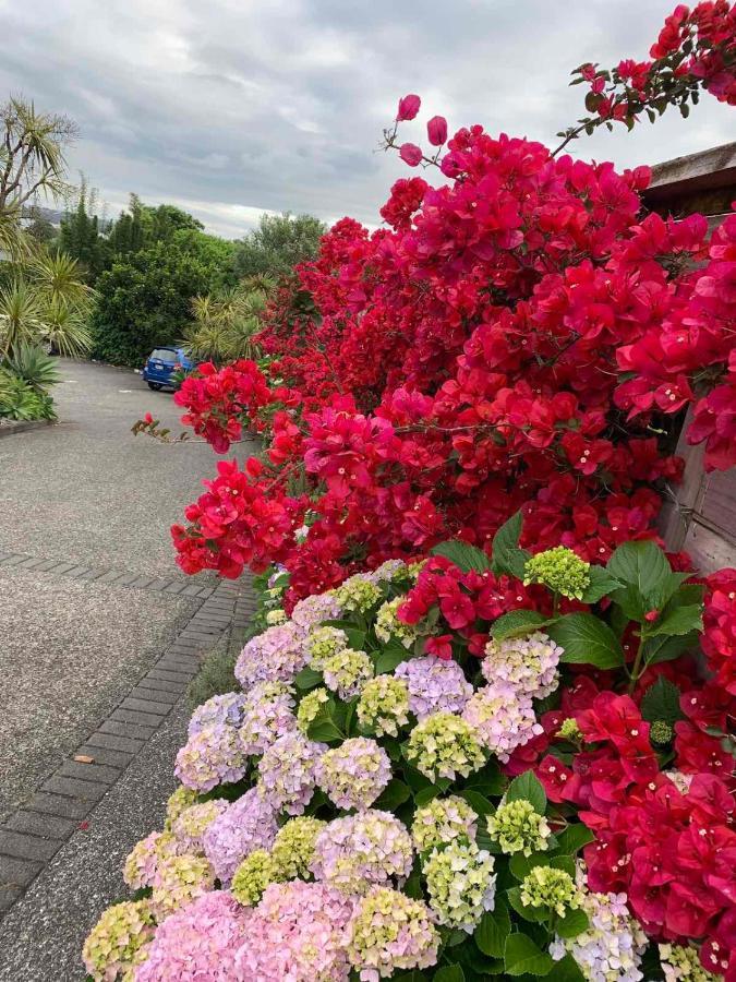 Oneroa Bay Villa Waiheke 외부 사진